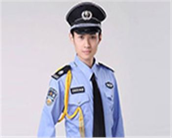 我愛(ài)我的保安服圖